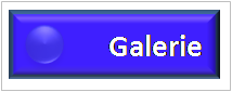 Bottom Galerie